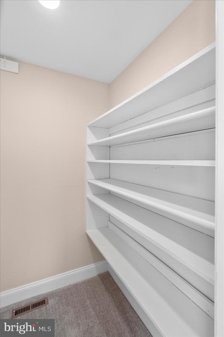 12508 Swirl Lane photo 23
