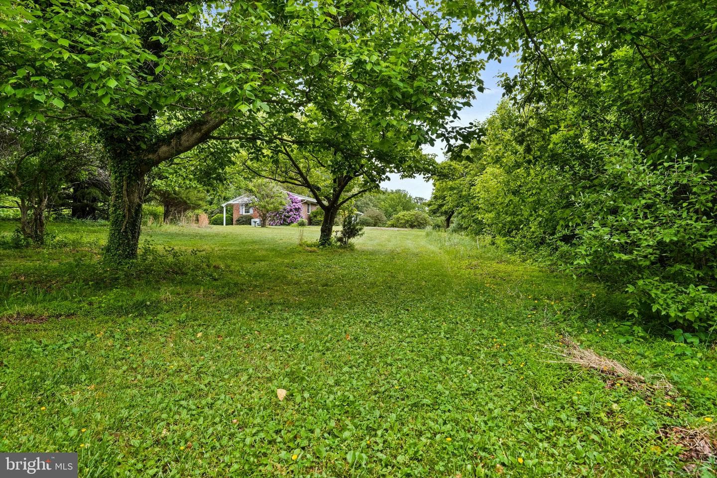 6201 Croom Station Road photo 35