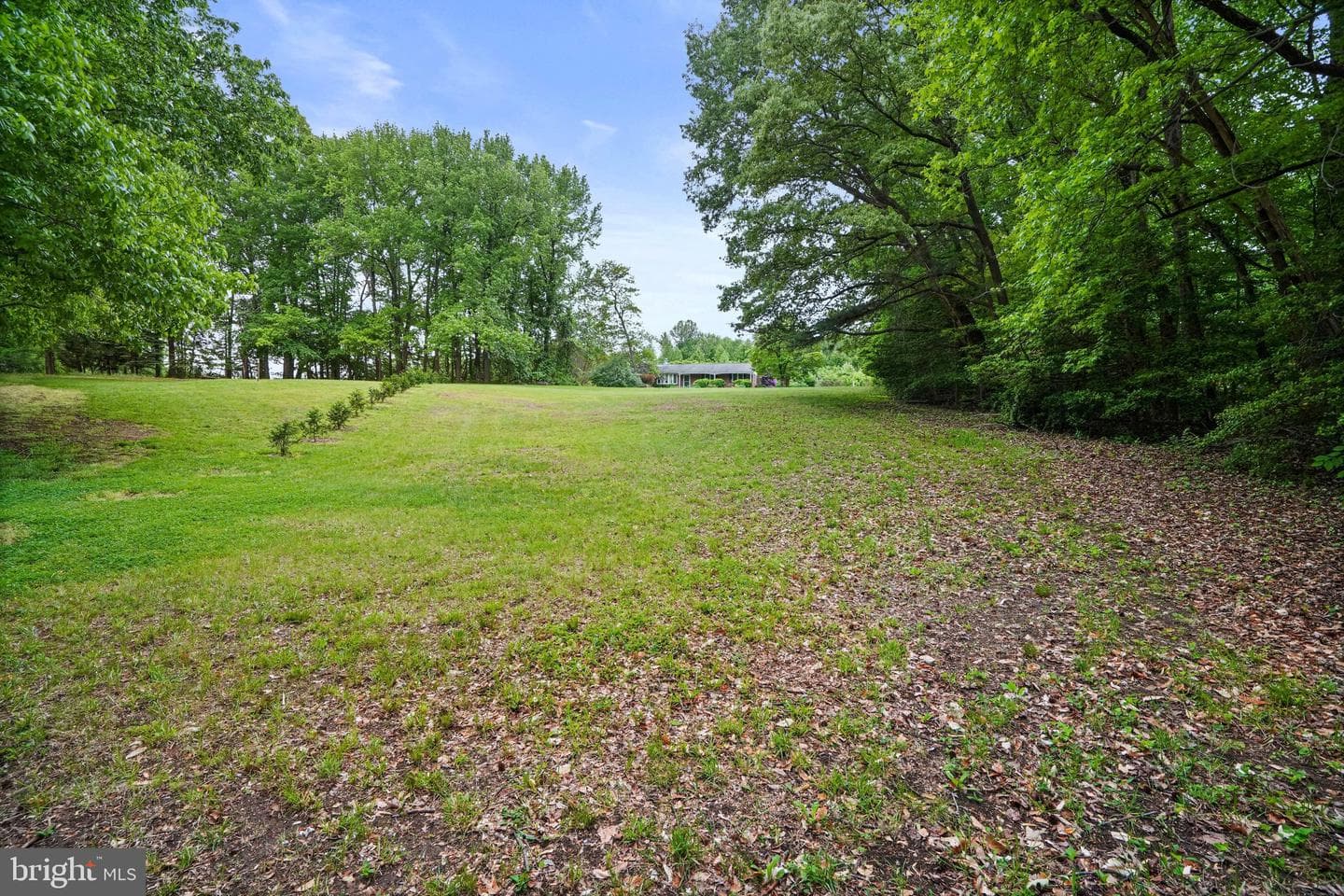 6201 Croom Station Road photo 38