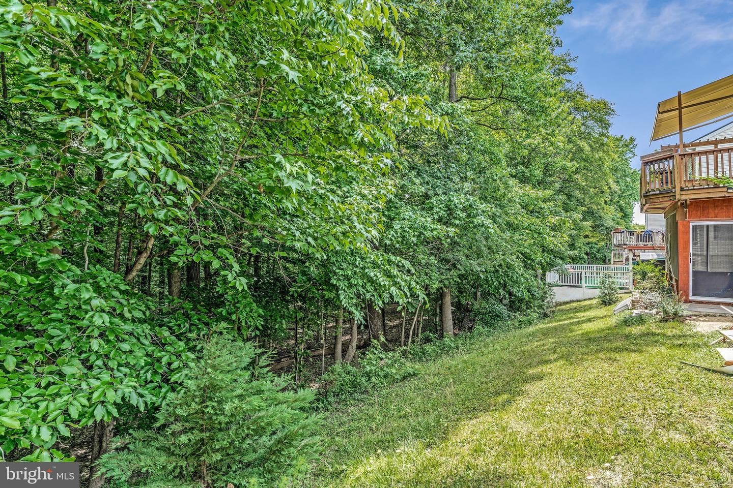 1617 Shady Glen Drive photo 45