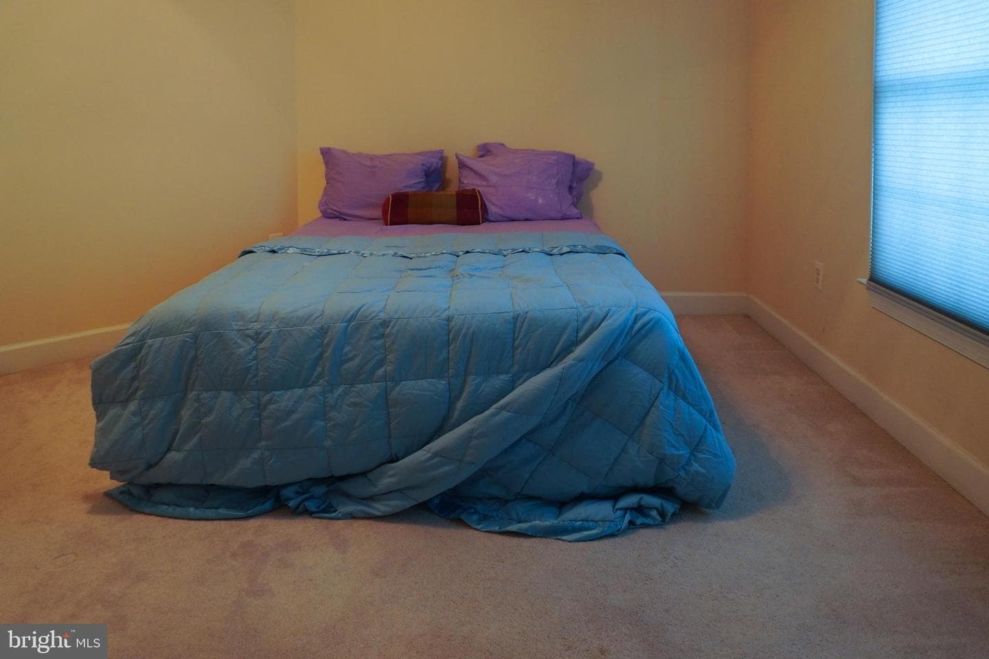 12802 Willow Marsh Lane photo 46
