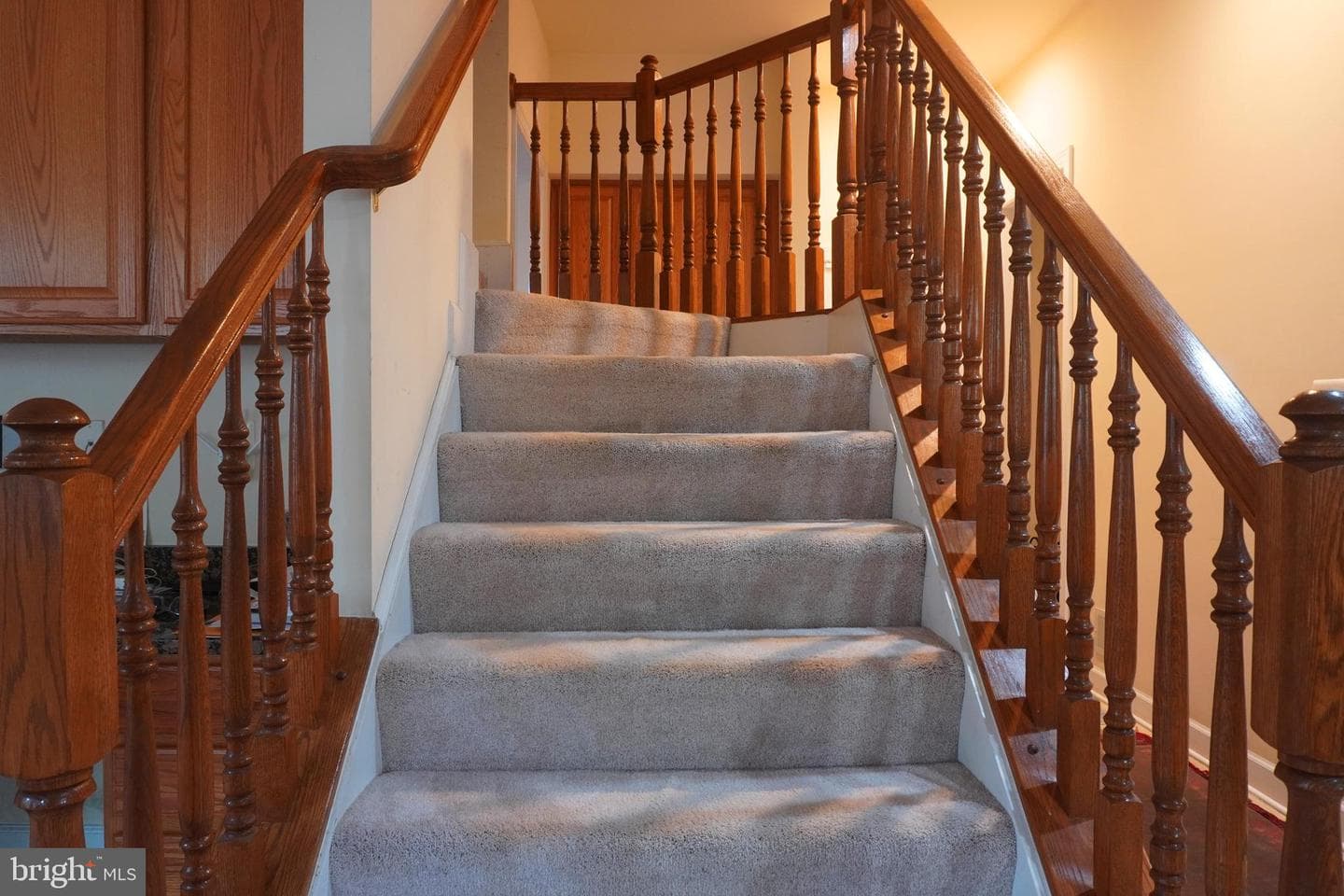 12802 Willow Marsh Lane photo 49