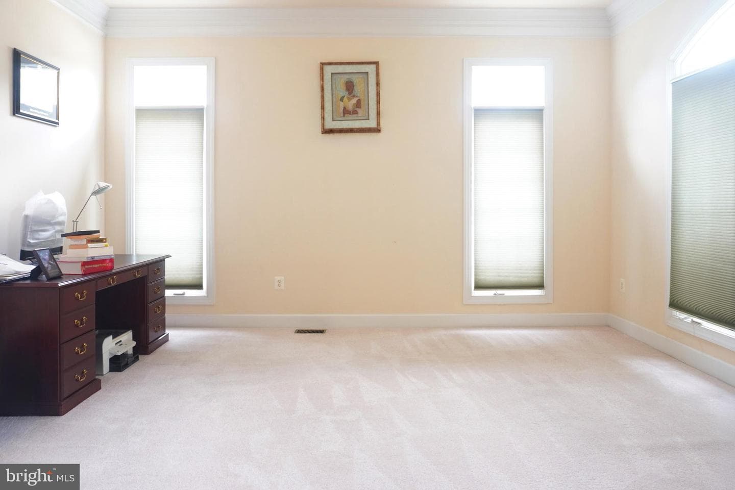 12802 Willow Marsh Lane photo 5