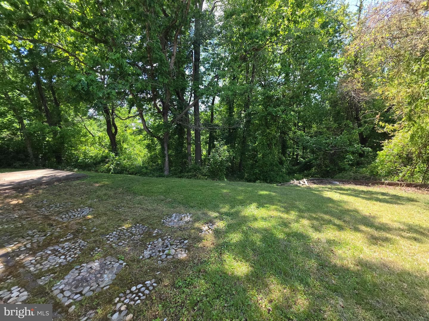 2504 Panther Lane photo 4