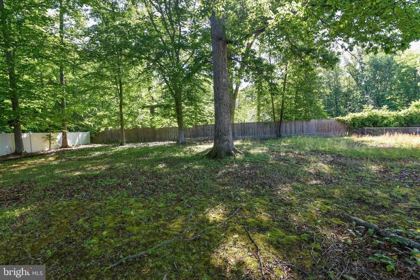 14306 Duckett Road photo 22