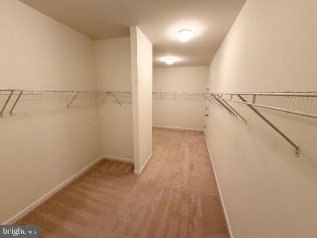 14305 Dawn Whistle Way photo 35