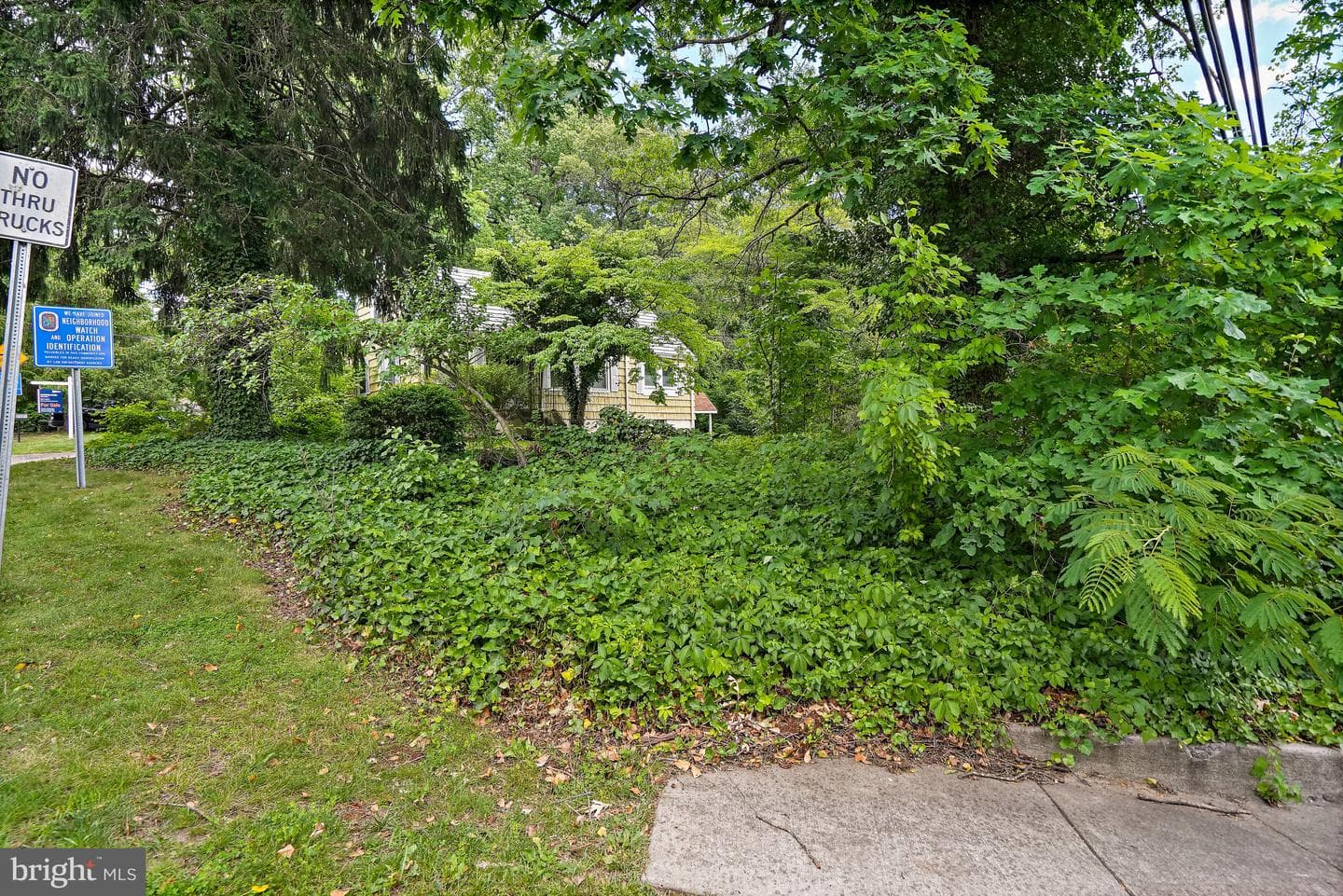 8901 Hickory Hill Avenue photo 6