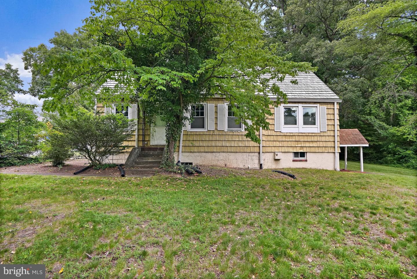 8901 Hickory Hill Avenue photo 8