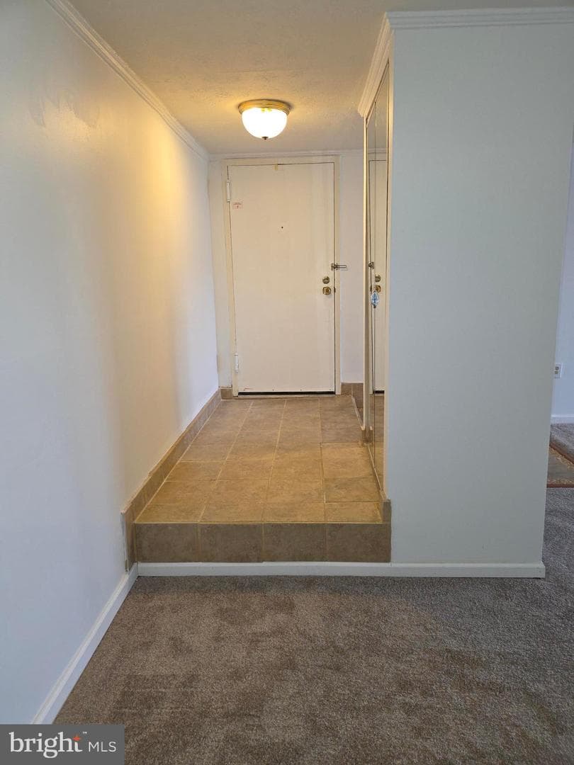 7728 Hanover Parkway #301 photo 4