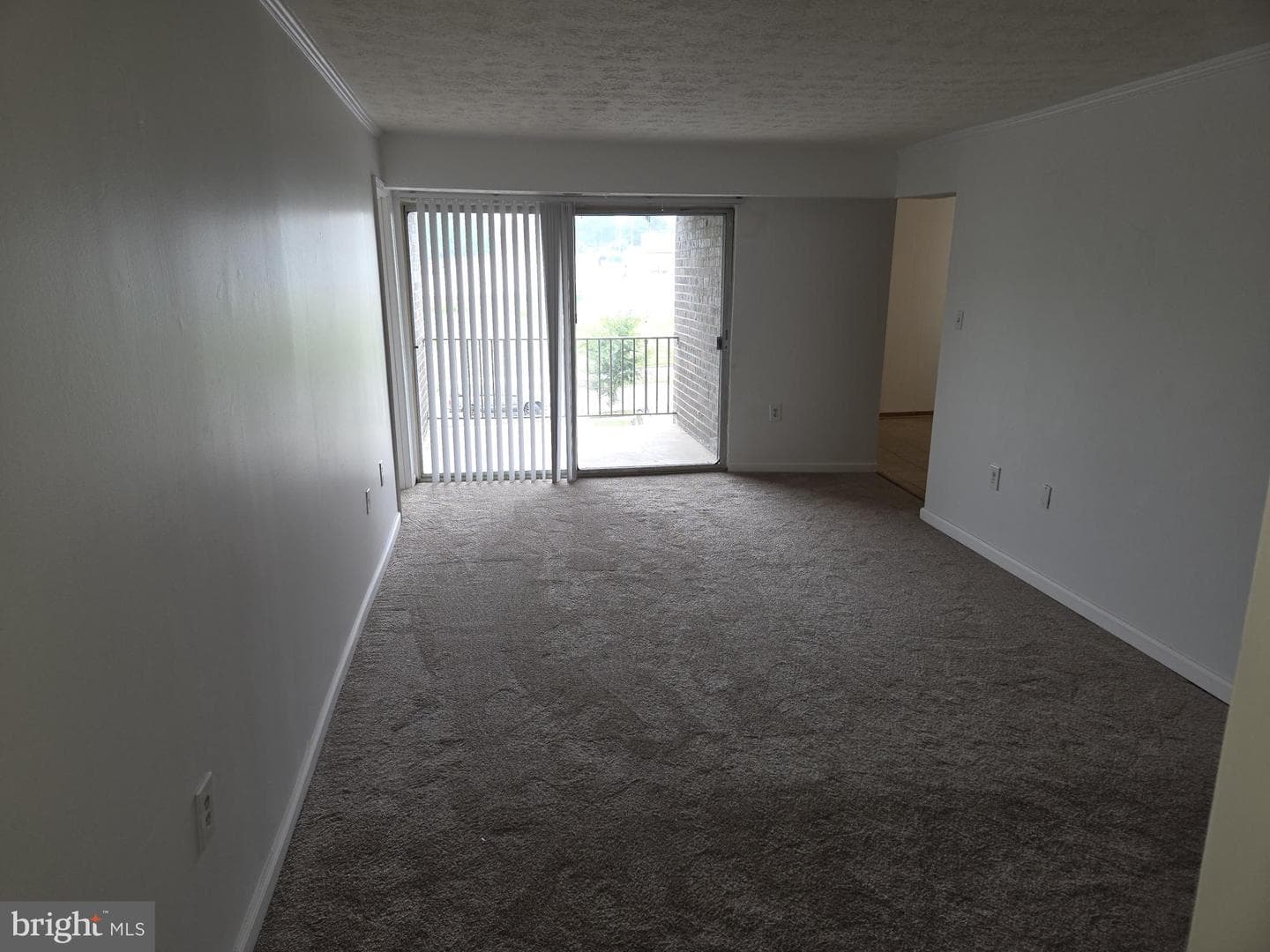 7728 Hanover Parkway #301 photo 6