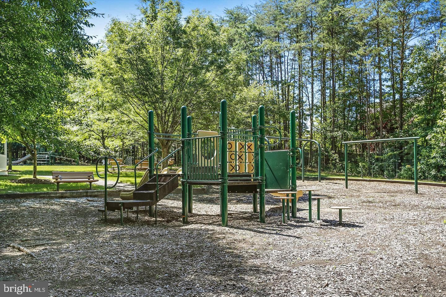 10003 Goose Pond Court photo 43