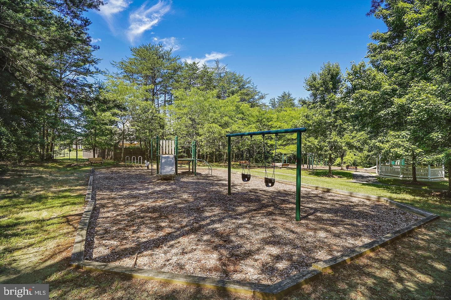 10003 Goose Pond Court photo 45