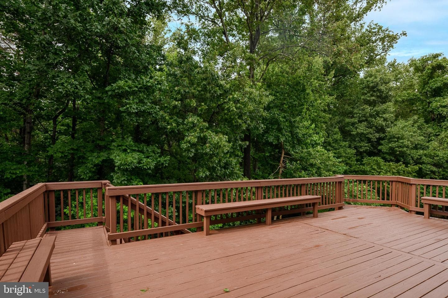 12700 Quarterhorse Drive photo 49