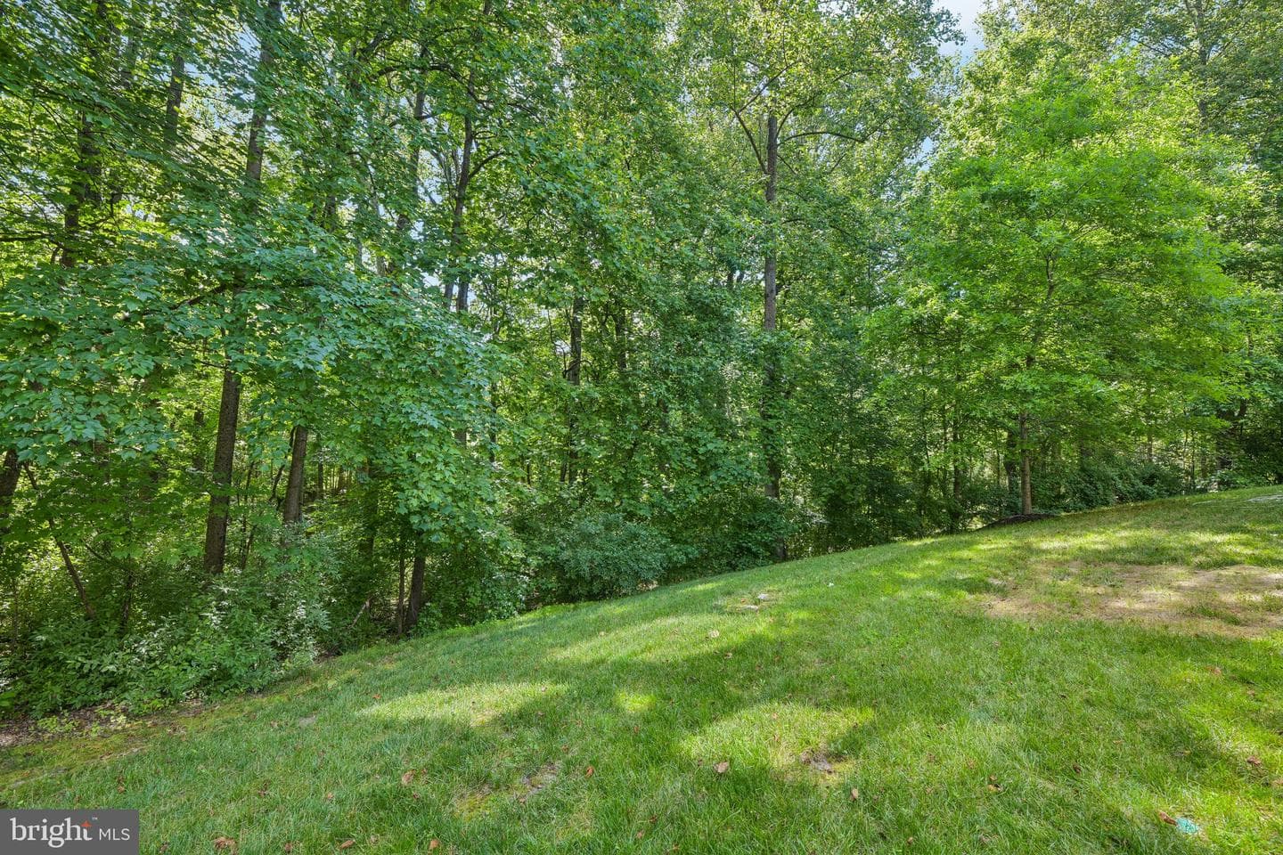 9005 Wild Acre Court photo 100