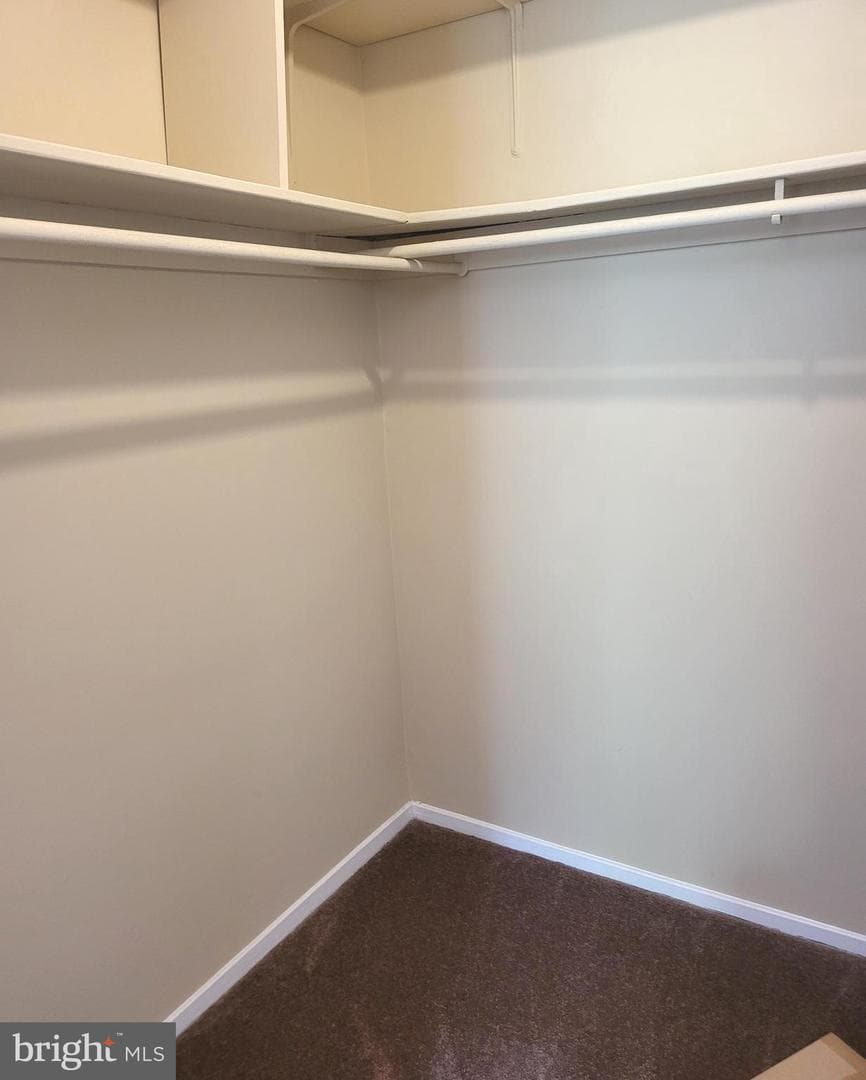 4513 Romlon Street #203 photo 23