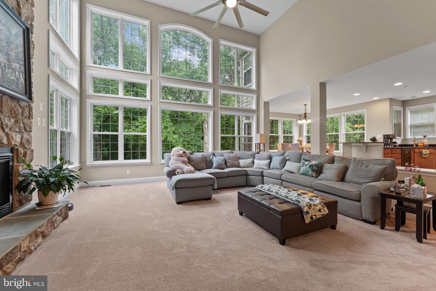 334 Radiant Court photo 17