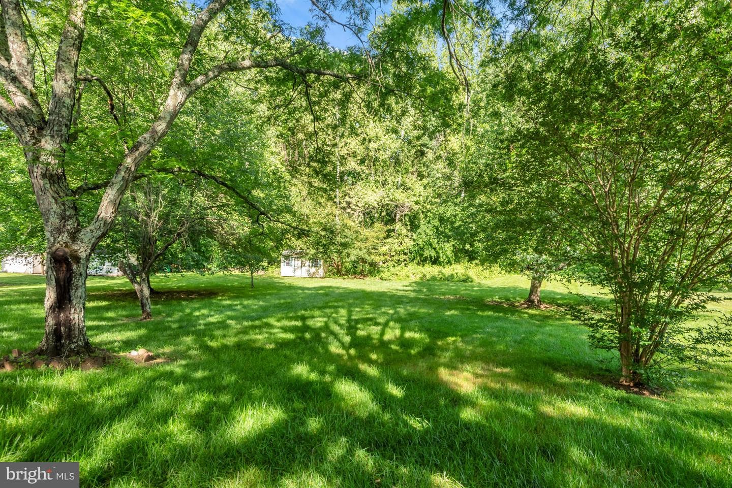 11526 Waesche Drive photo 7