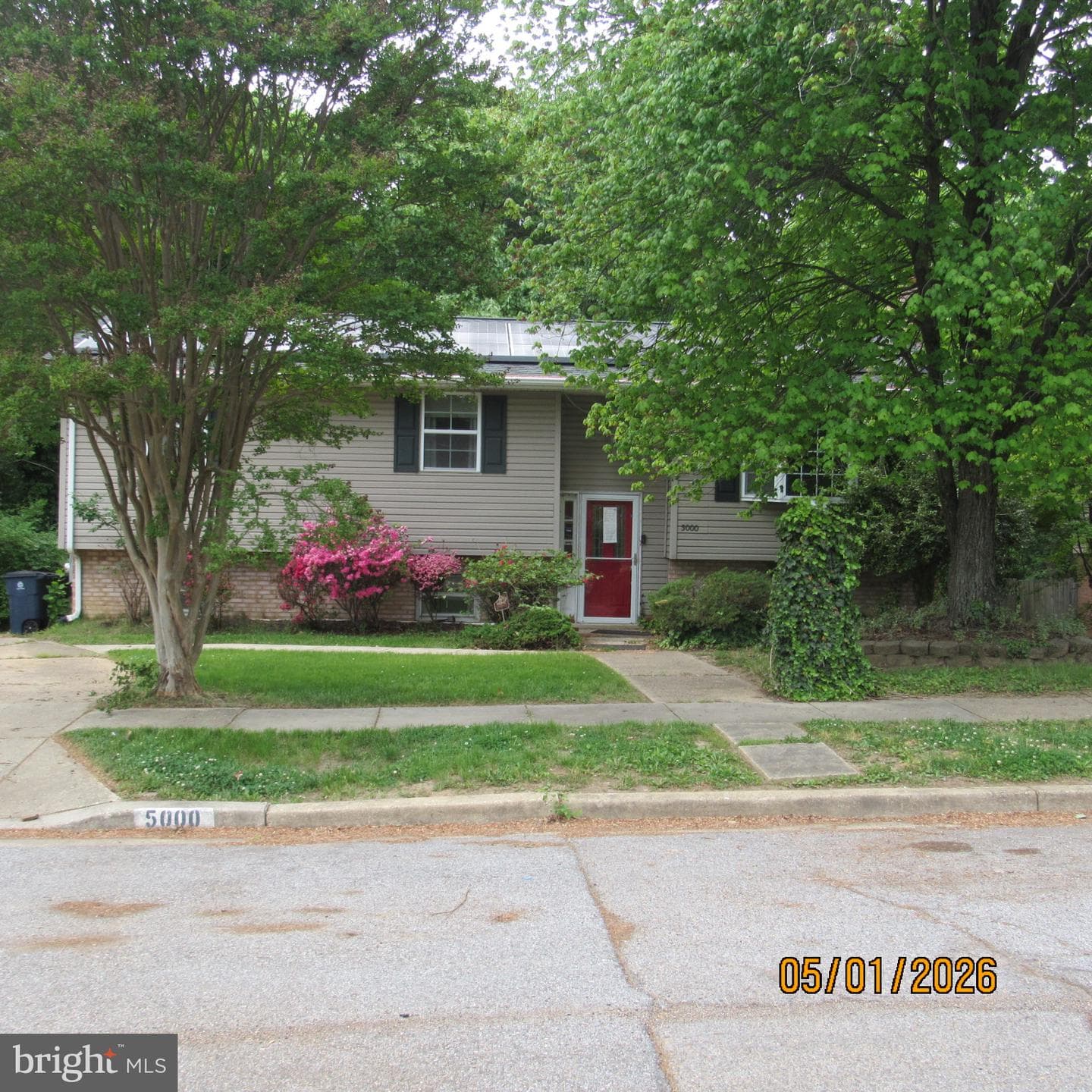5000 Luci Lane photo 1