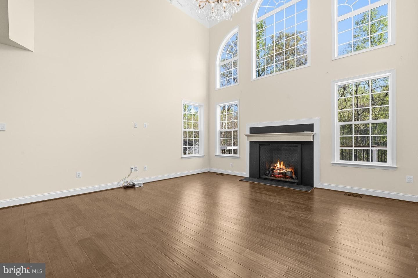 10008 Thomas Brooke Place photo 13