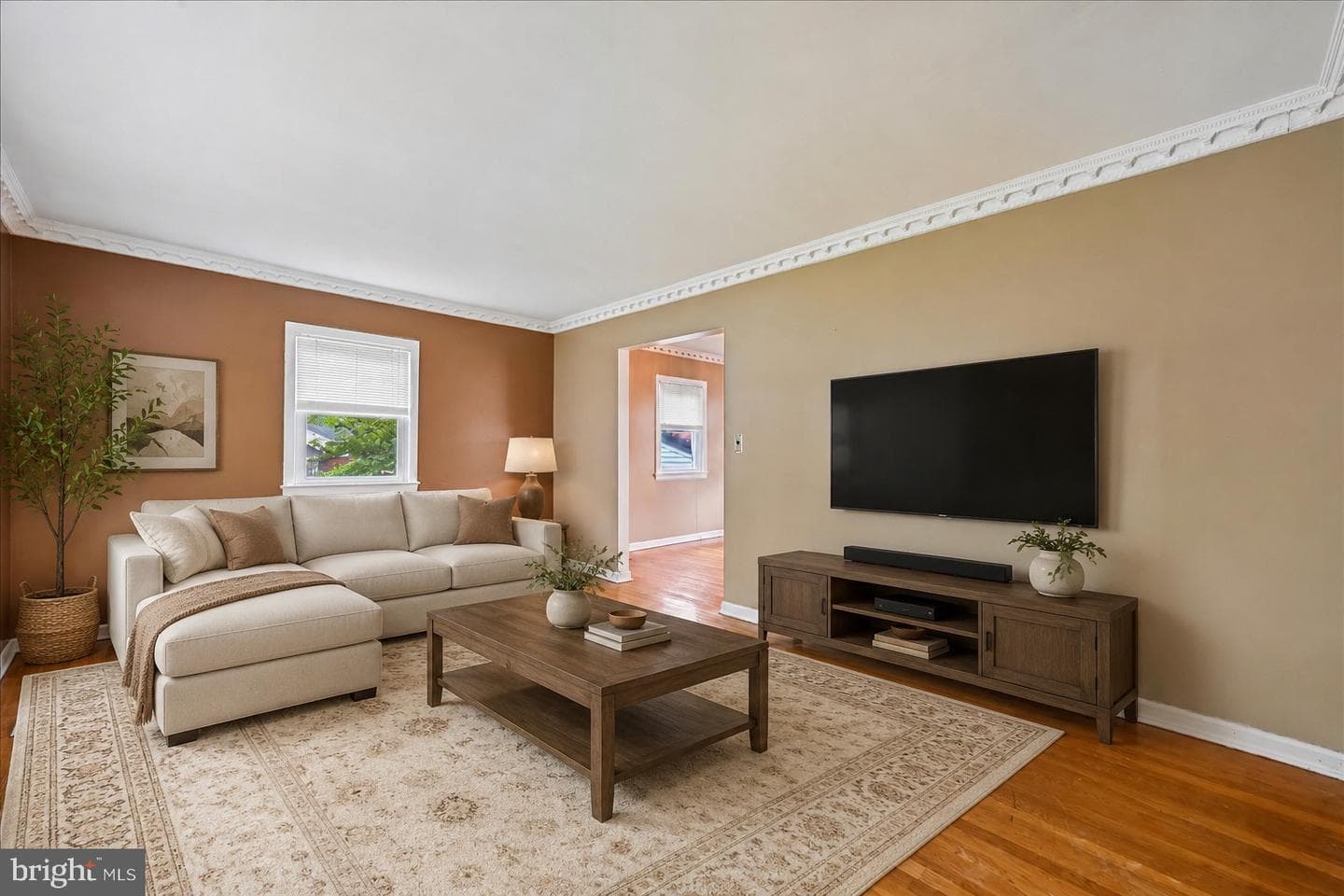 6703 Vanessa Drive photo 5