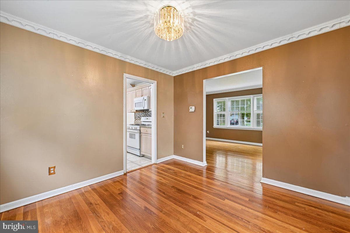 6703 Vanessa Drive photo 8