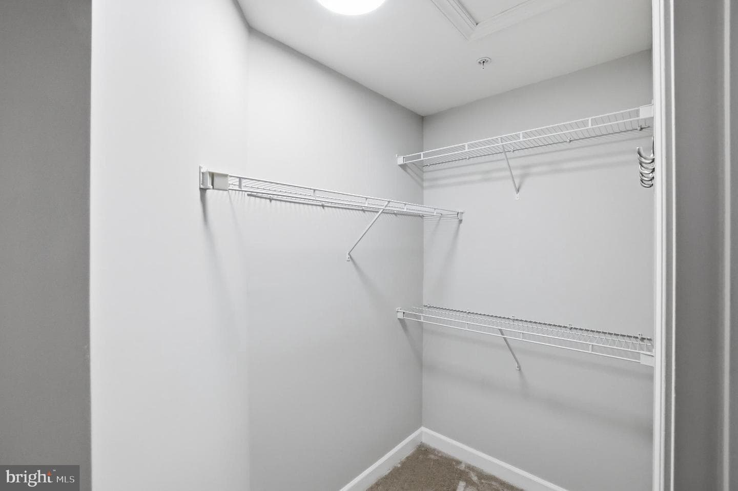 14107 Corunna Court photo 70