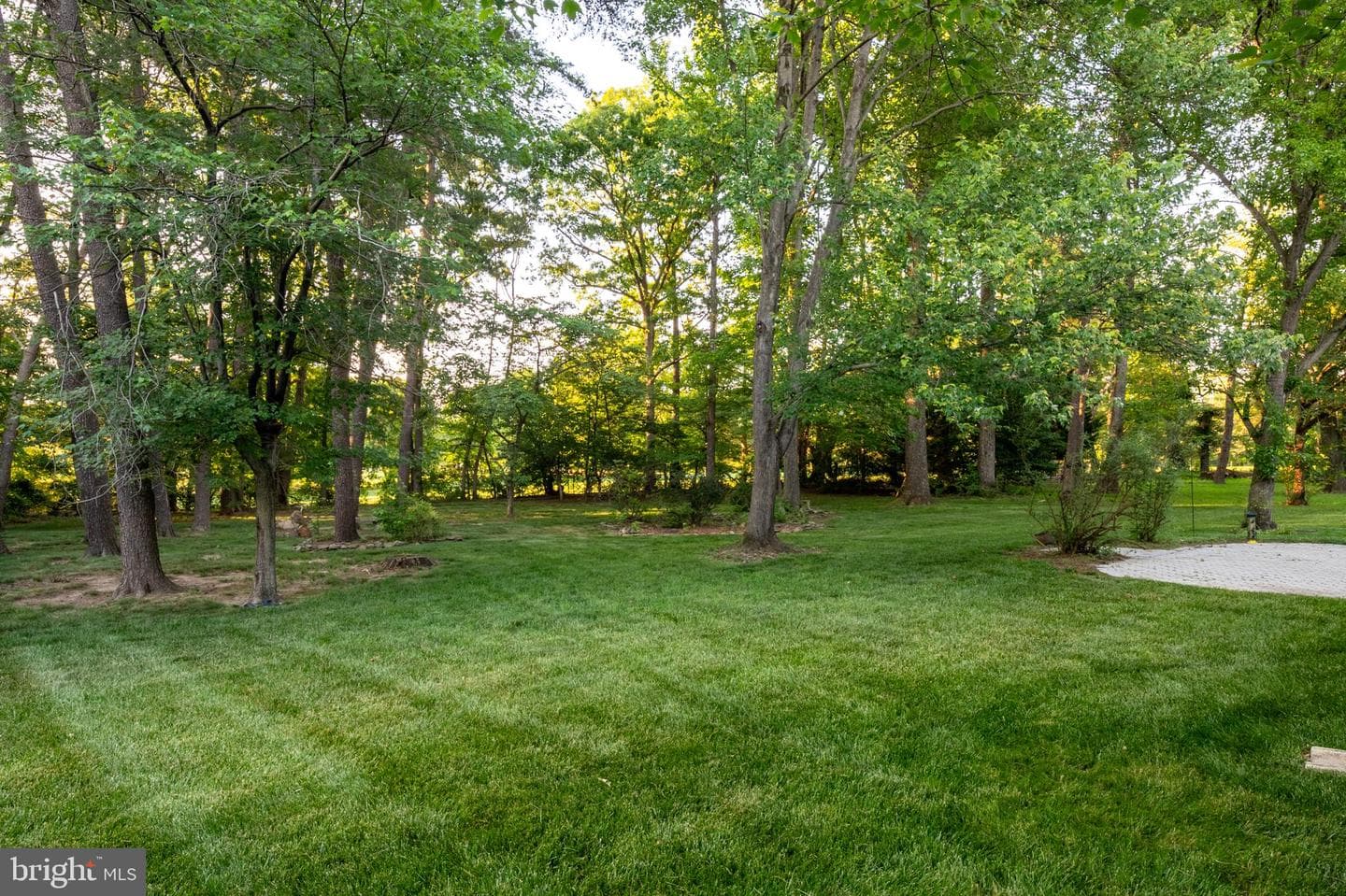 7304 Westwind Drive photo 39