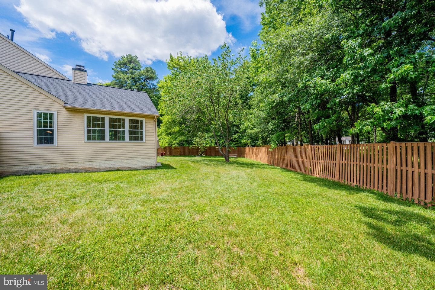 10102 Mallard Pond Court photo 50