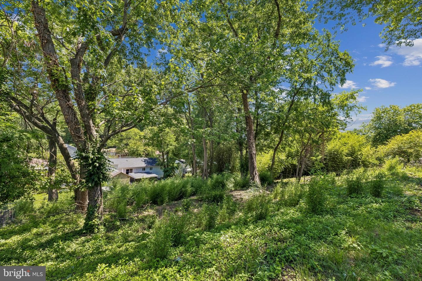 308 Aragona Drive photo 24