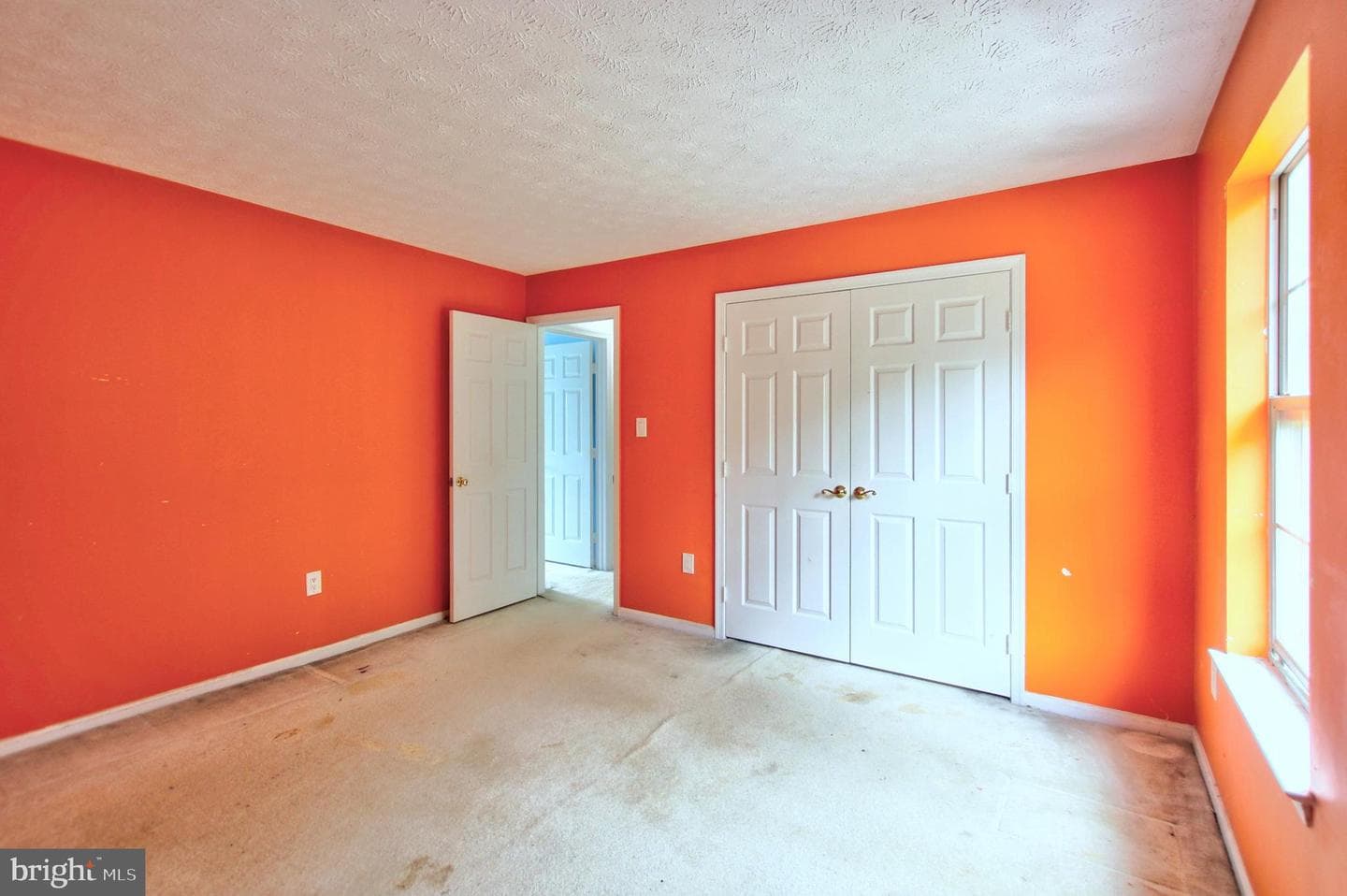10711 Featherstone Drive photo 23
