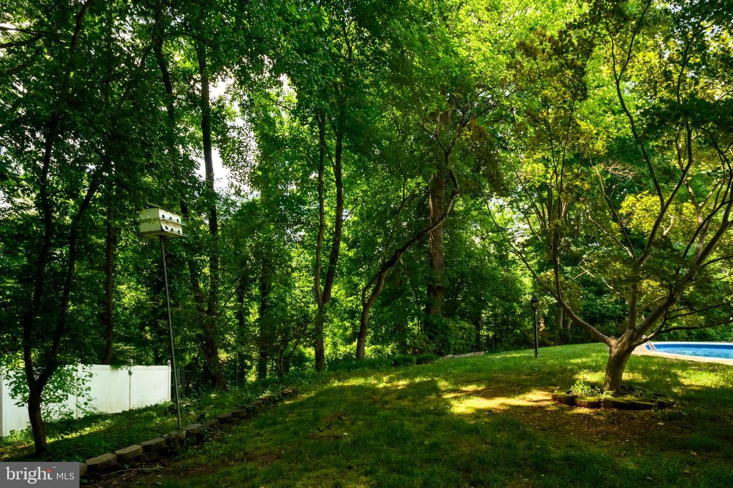 12101 Lerner Place photo 37