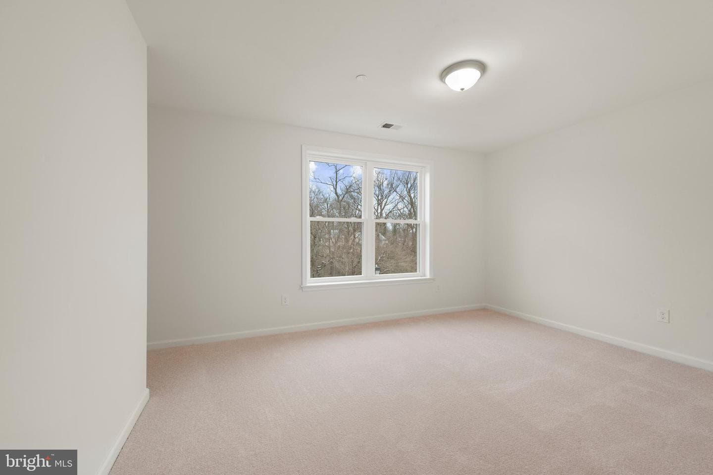Elm Avenue photo 35