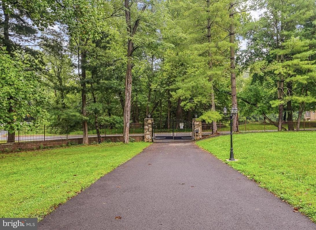11701 Locust Dale Court photo 22