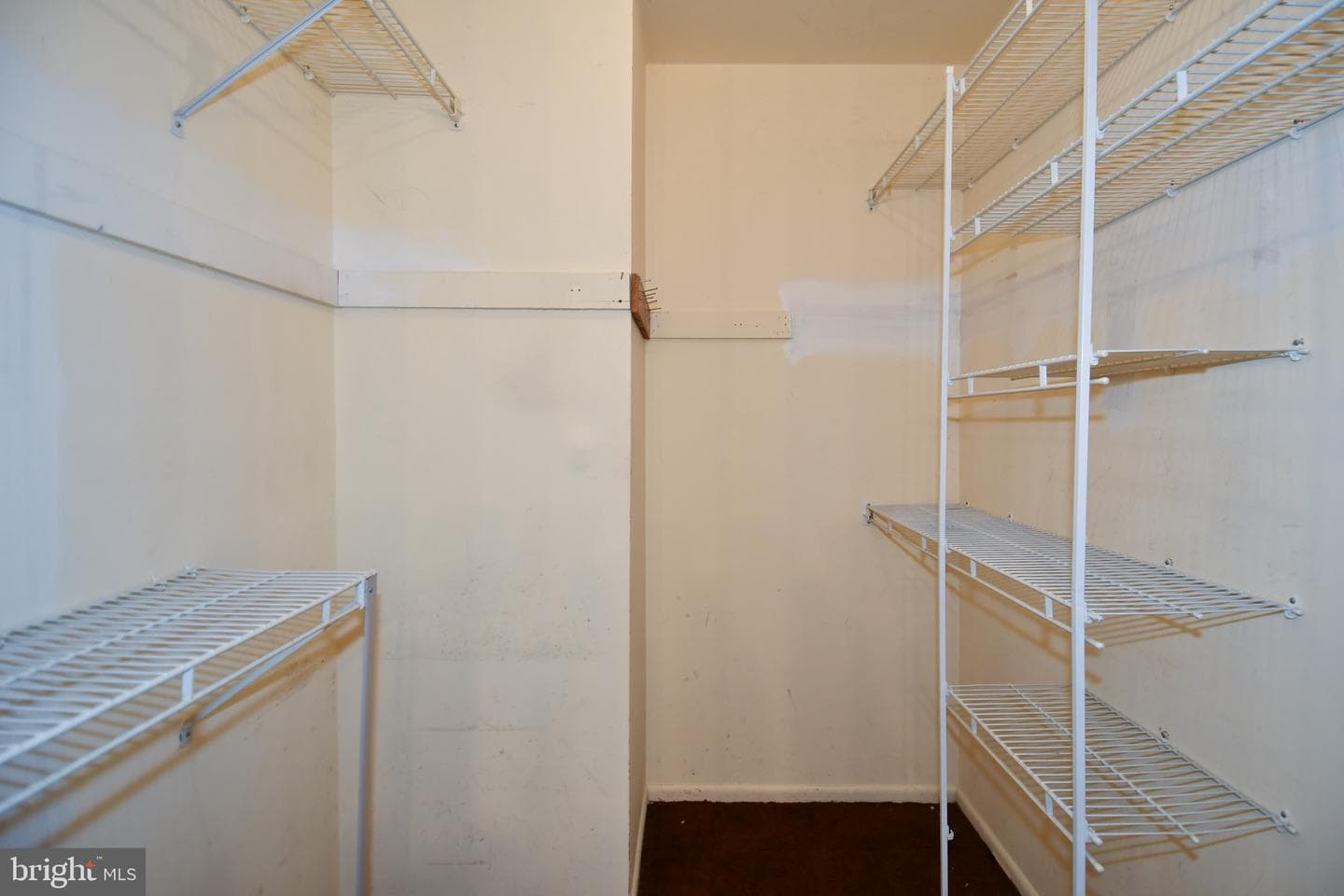 1030 Kings Tree Drive photo 24