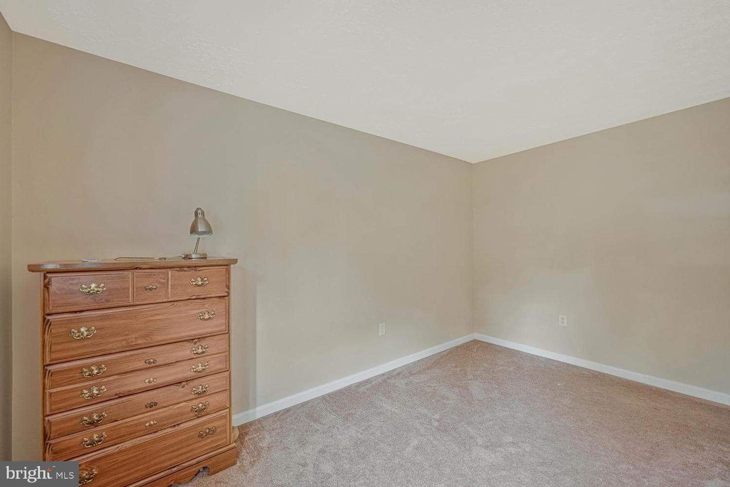 11823 Sylvia Drive photo 37