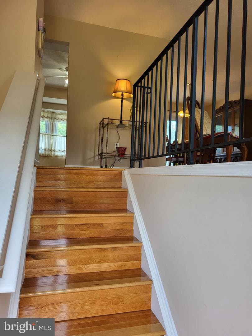 11823 Sylvia Drive photo 5