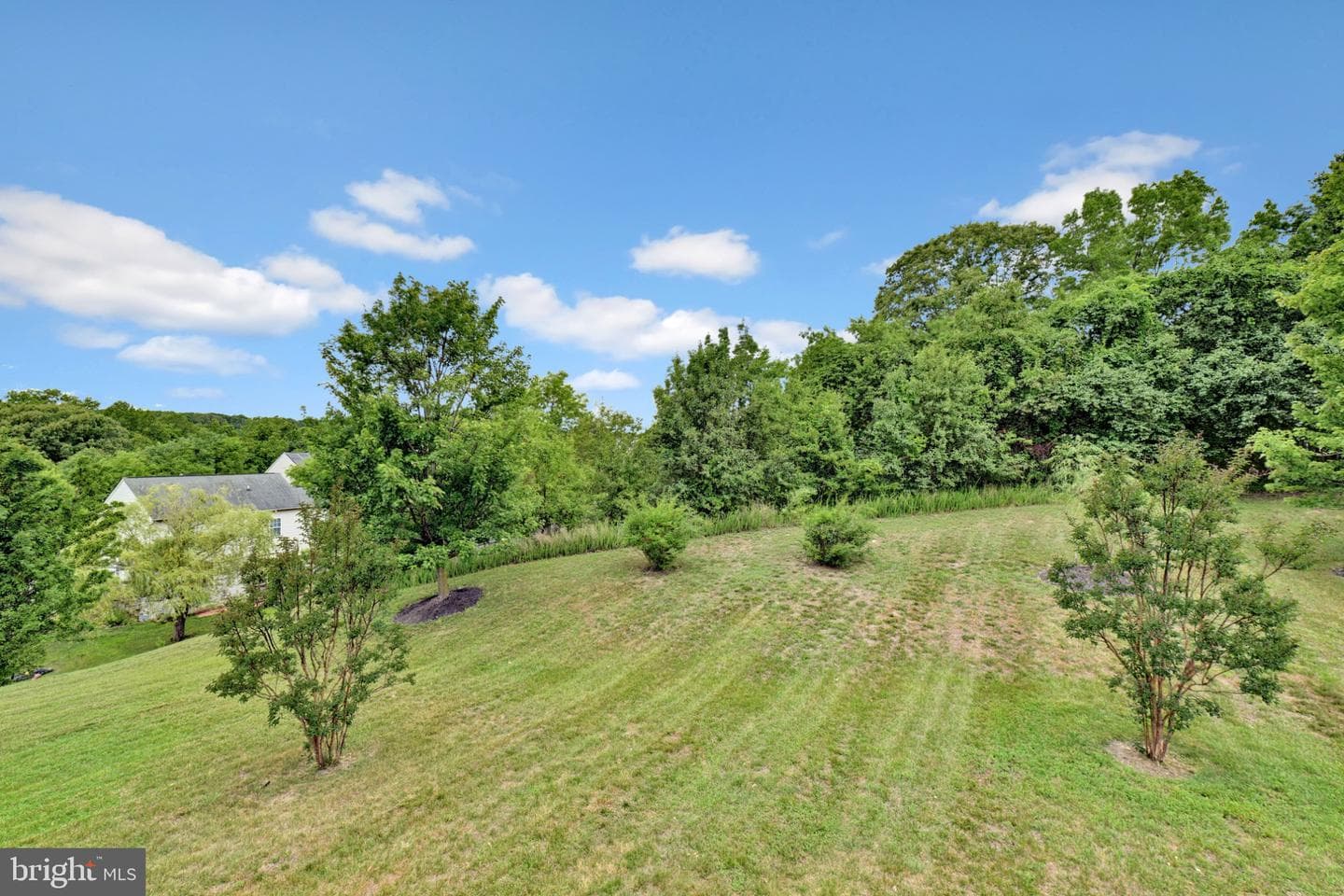 12401 Nathan Court photo 61