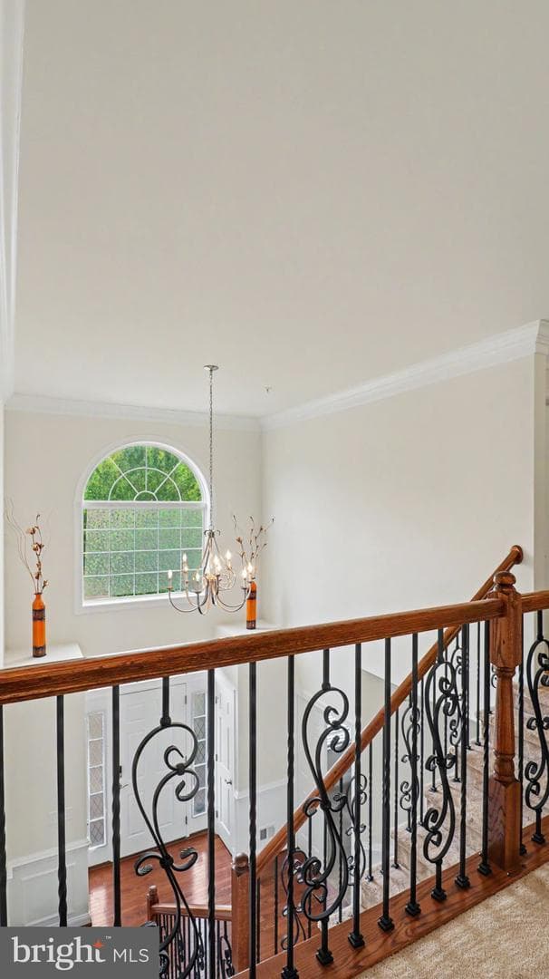 2700 Weary Creek Court photo 71