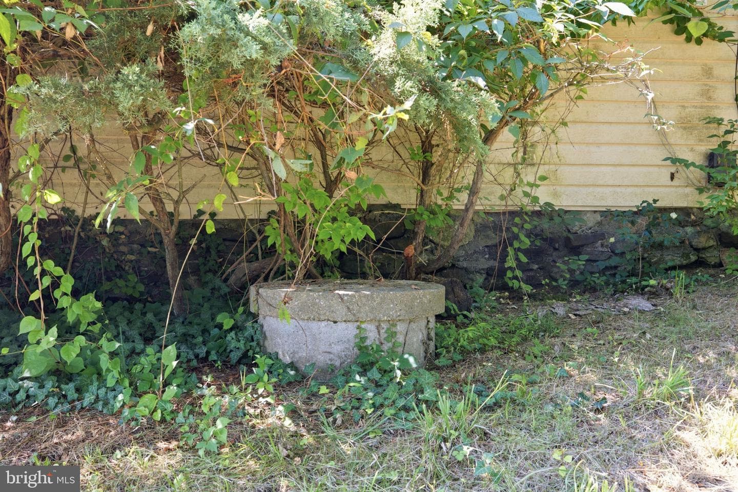 17501 Watershed Drive photo 36