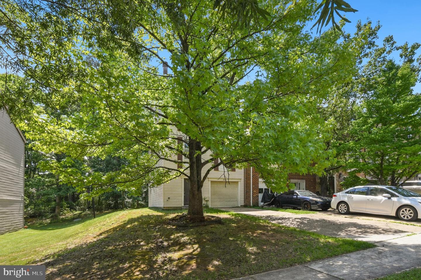 7111 Forbes Boulevard photo 3