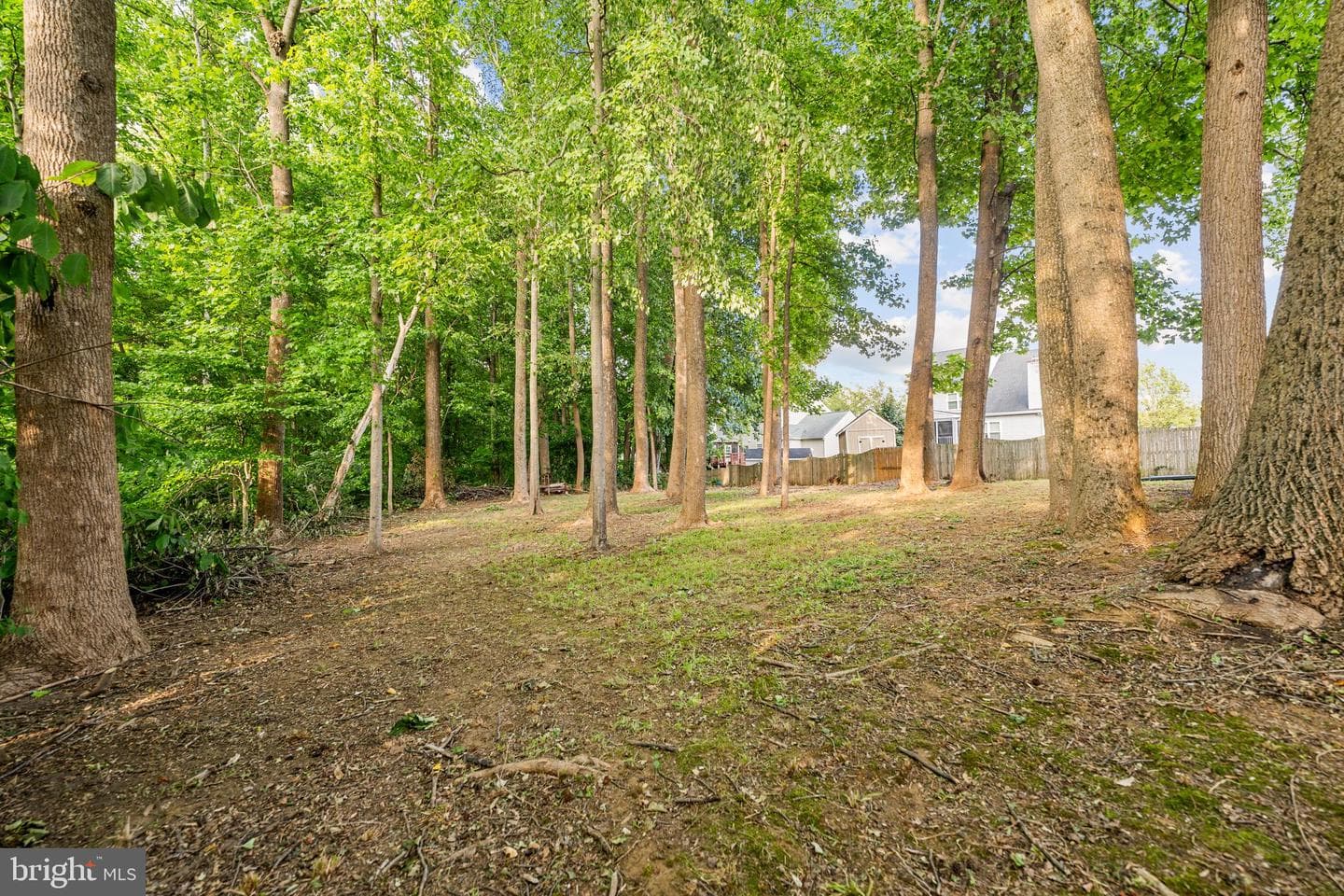 11304 Bennington Drive photo 37