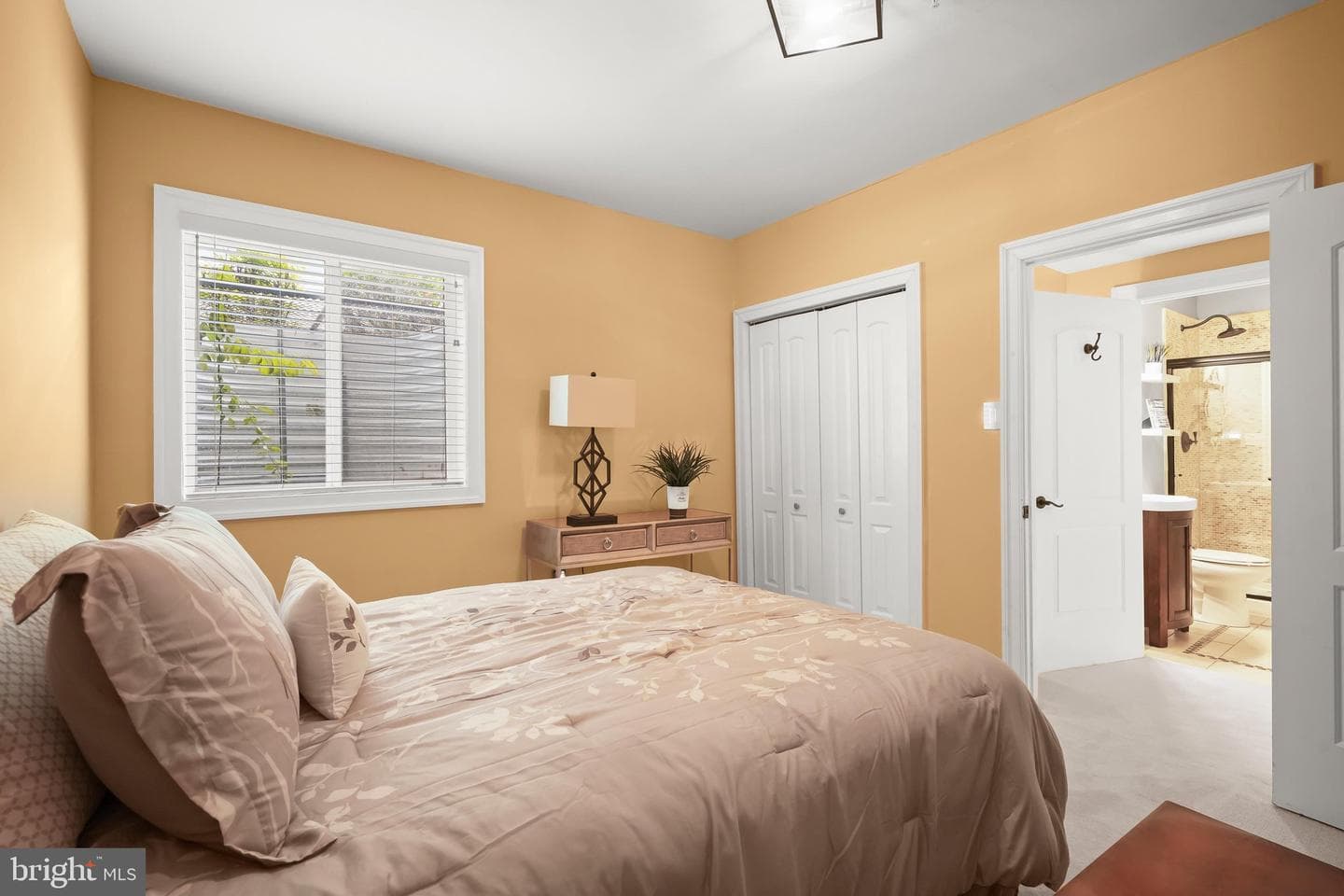 207 Bottsford Avenue photo 65
