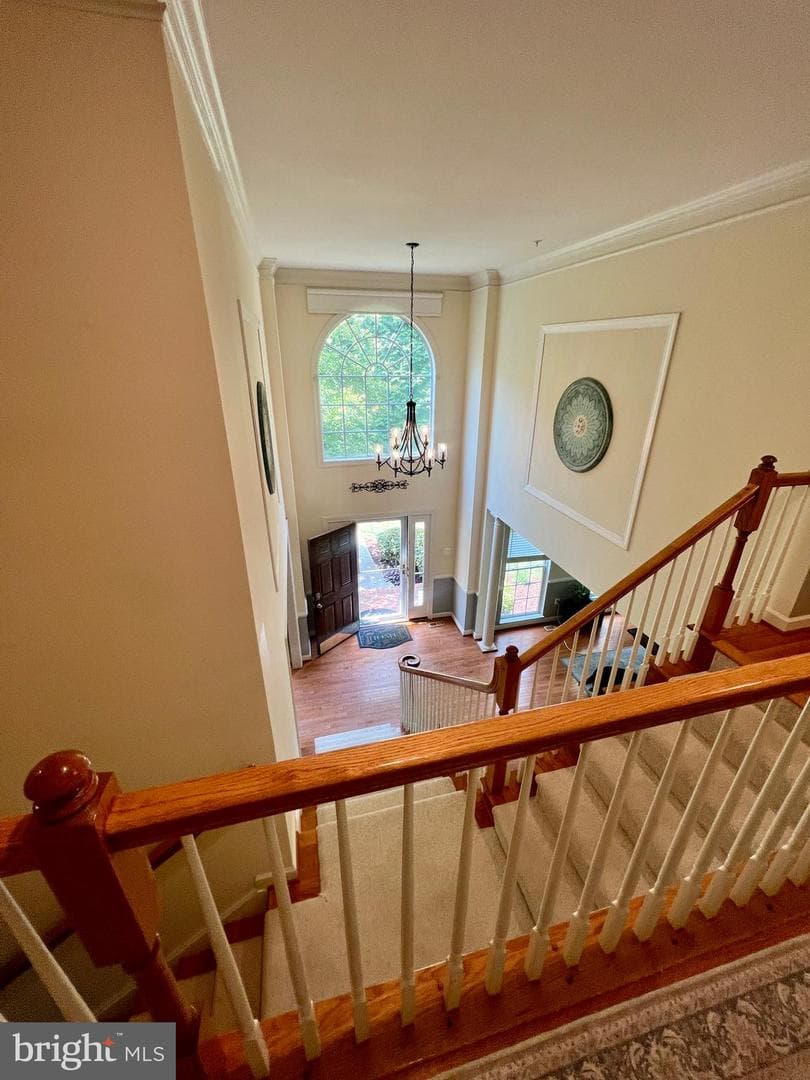 15509 Cheswicke Lane photo 85