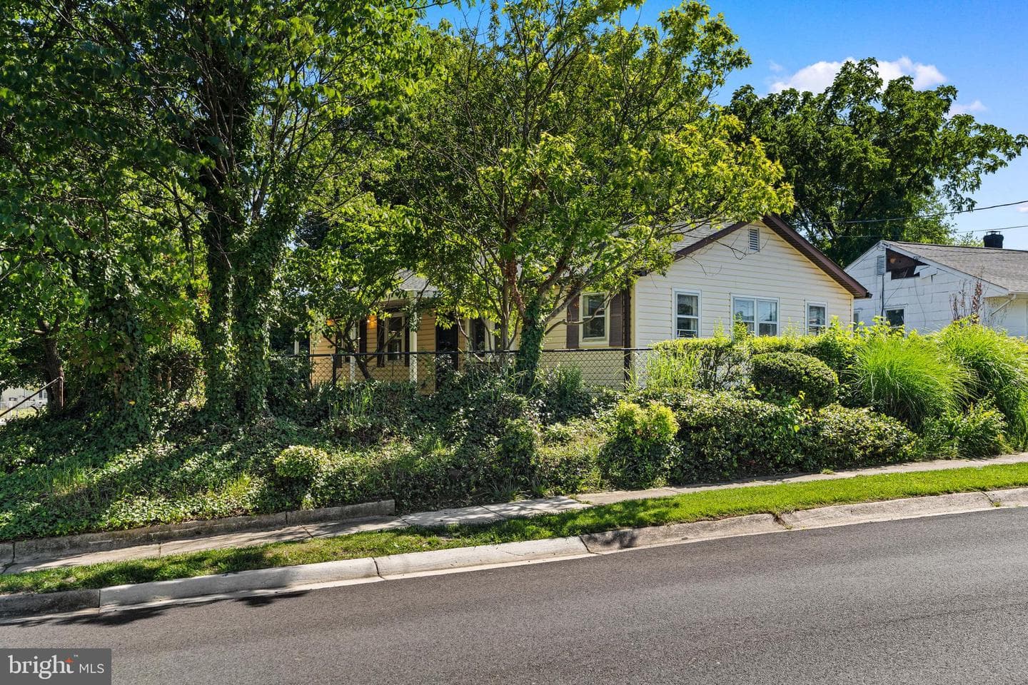 905 Lindsay Road photo 4