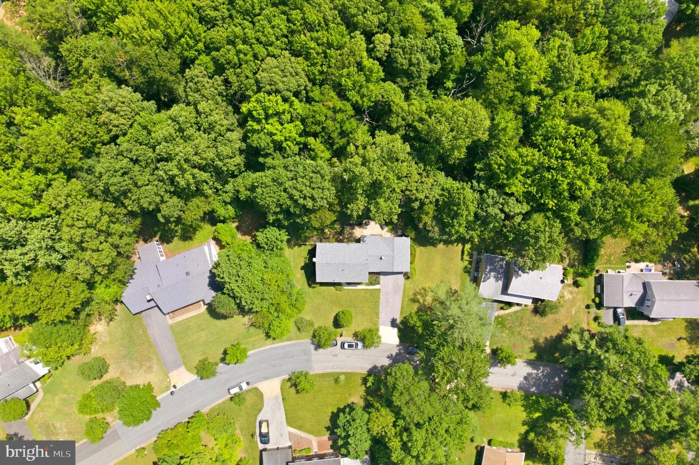 12607 Ivystone photo 42