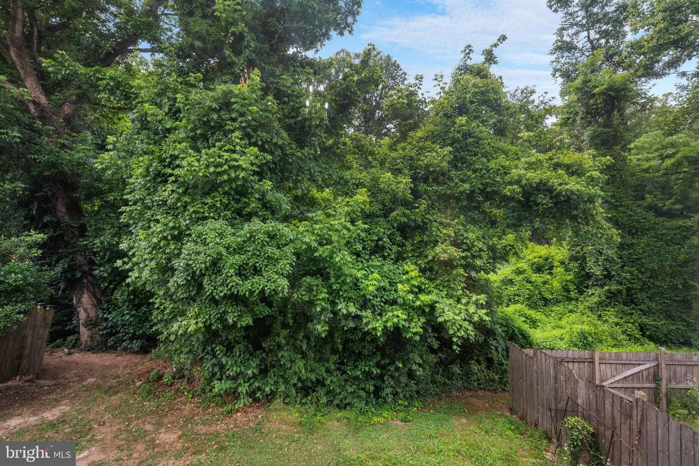 5939 Applegarth Place photo 41