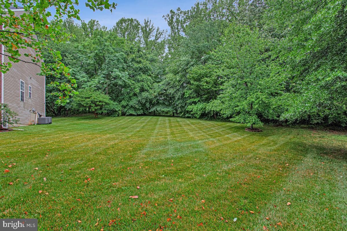 5209 Devonport Court photo 53