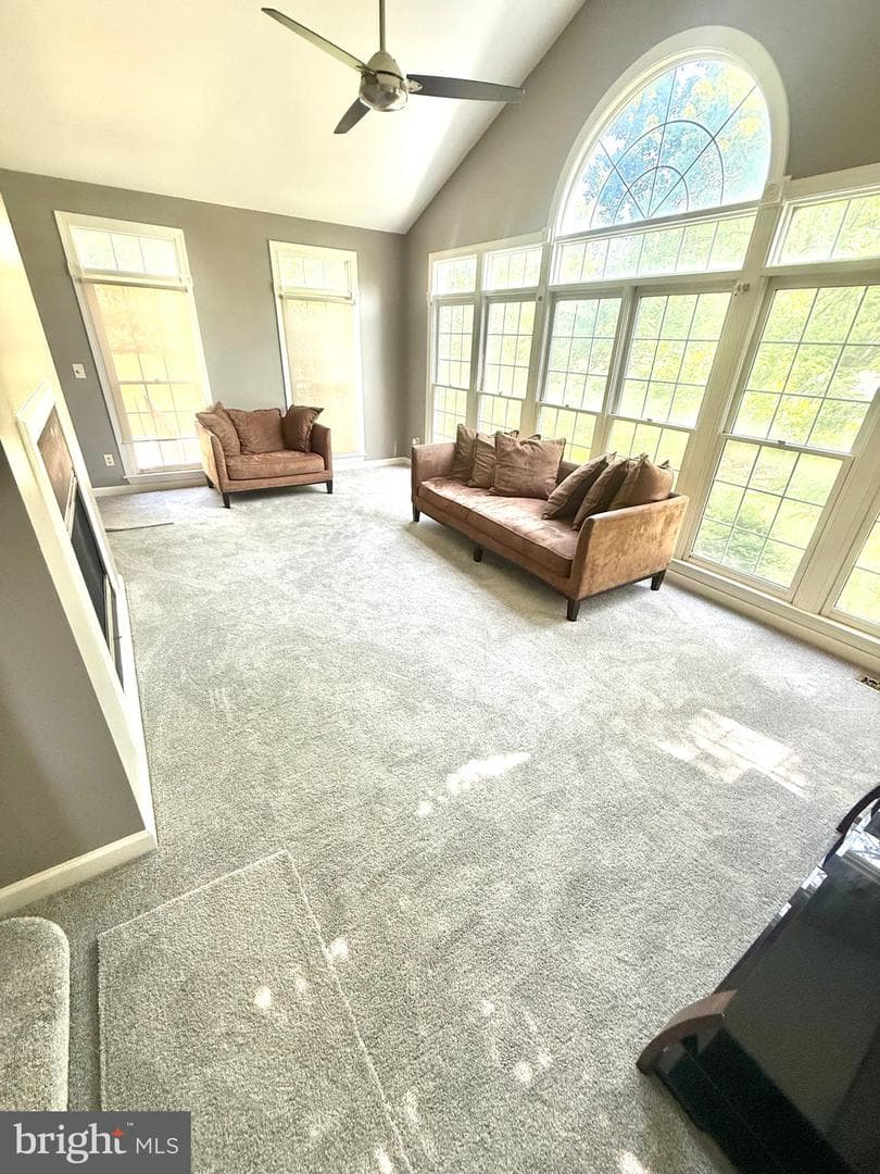 11912 Shadystone Terrace photo 9