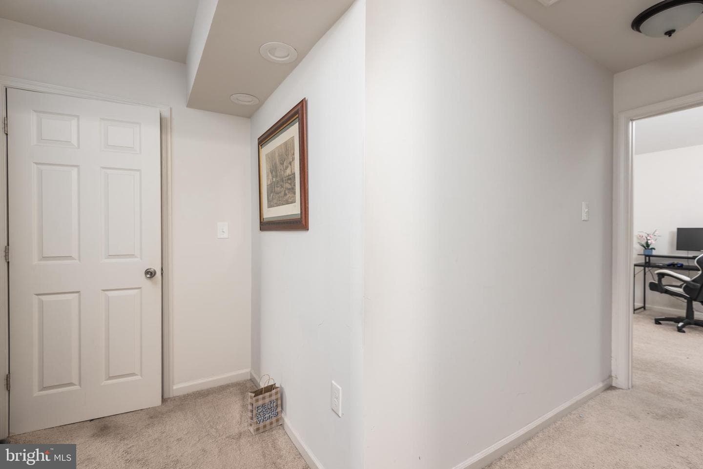 8202 Greenspire Terrace photo 17