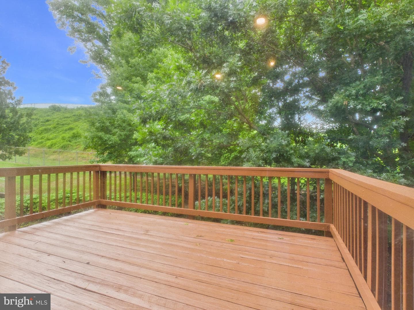 859 Lacewood Ter photo 8